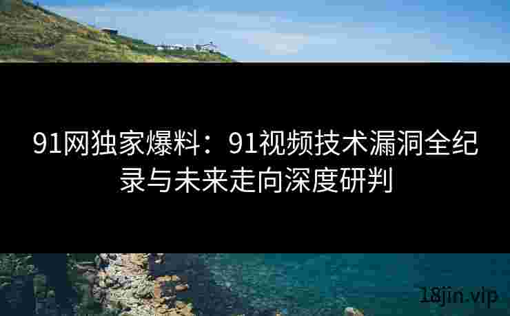 91网独家爆料：91视频技术漏洞全纪录与未来走向深度研判