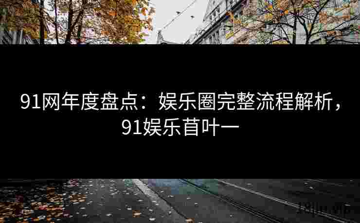 91网年度盘点：娱乐圈完整流程解析，91娱乐苜叶一