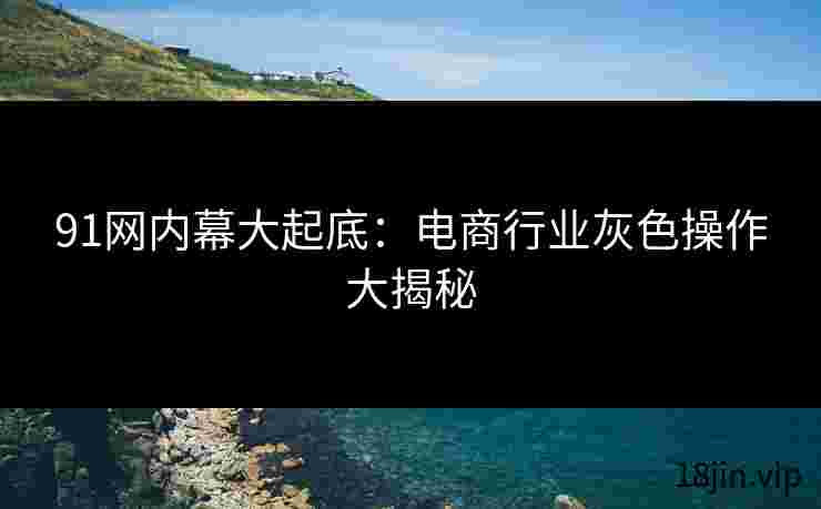 91网内幕大起底：电商行业灰色操作大揭秘