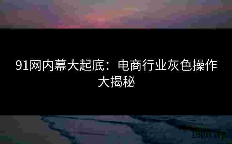 91网内幕大起底：电商行业灰色操作大揭秘