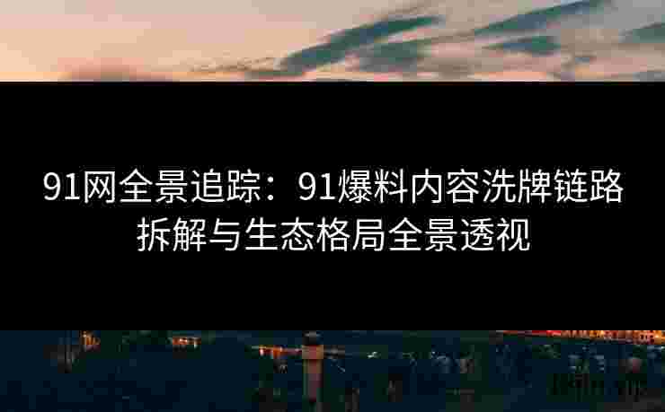 91网全景追踪：91爆料内容洗牌链路拆解与生态格局全景透视