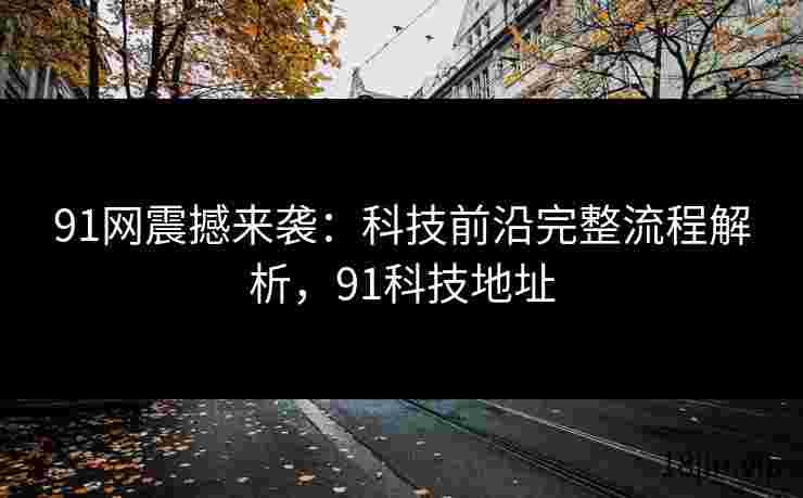 91网震撼来袭：科技前沿完整流程解析，91科技地址