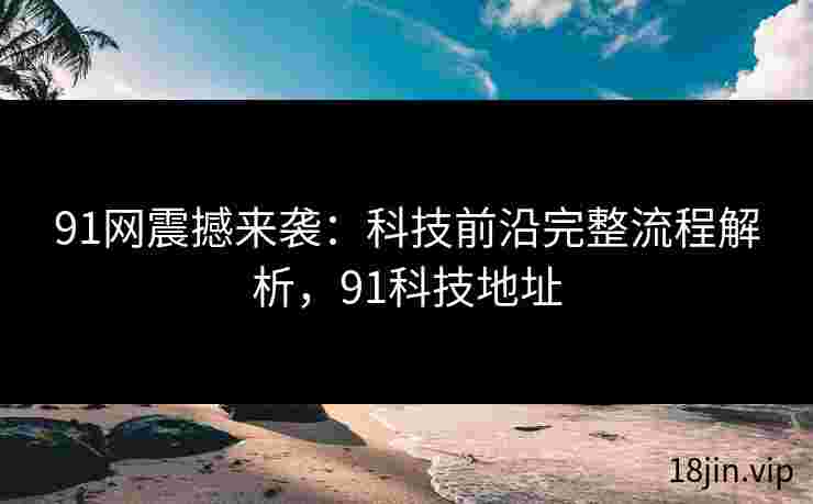 91网震撼来袭：科技前沿完整流程解析，91科技地址