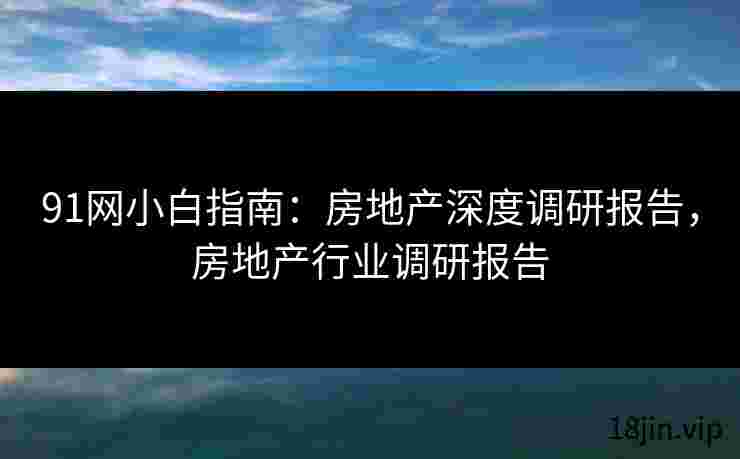 91网小白指南：房地产深度调研报告，房地产行业调研报告