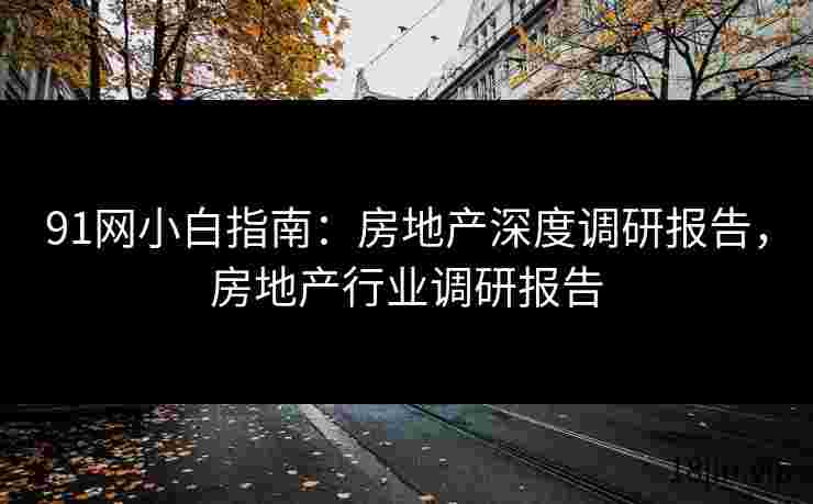 91网小白指南：房地产深度调研报告，房地产行业调研报告