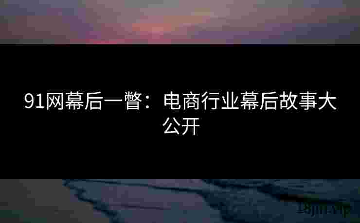 91网幕后一瞥：电商行业幕后故事大公开