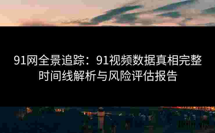 91网全景追踪：91视频数据真相完整时间线解析与风险评估报告