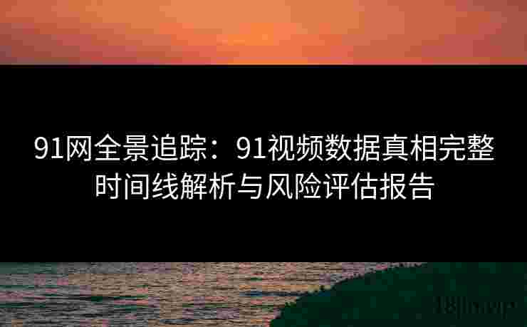 91网全景追踪：91视频数据真相完整时间线解析与风险评估报告