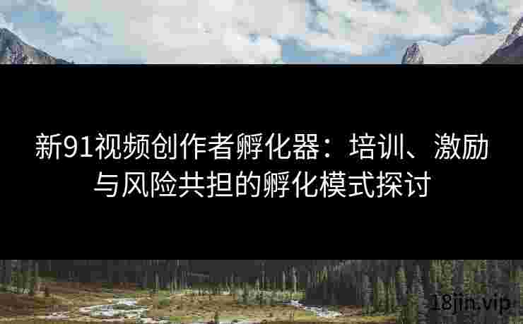 新91视频创作者孵化器：培训、激励与风险共担的孵化模式探讨