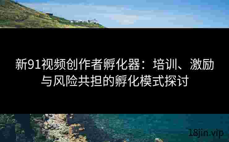 新91视频创作者孵化器：培训、激励与风险共担的孵化模式探讨