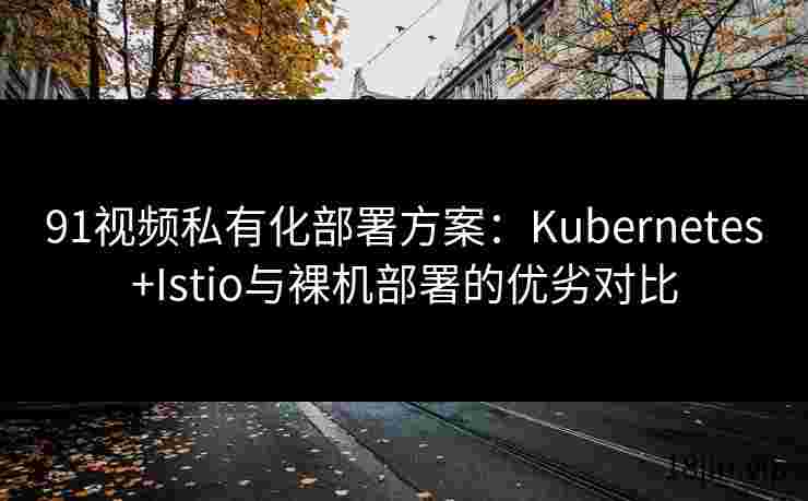 91视频私有化部署方案：Kubernetes+Istio与裸机部署的优劣对比