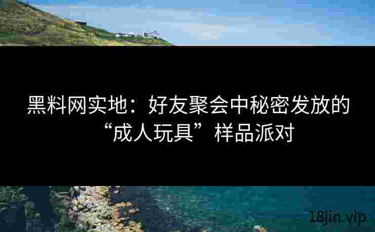 黑料网实地：好友聚会中秘密发放的“成人玩具”样品派对