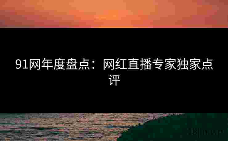 91网年度盘点：网红直播专家独家点评
