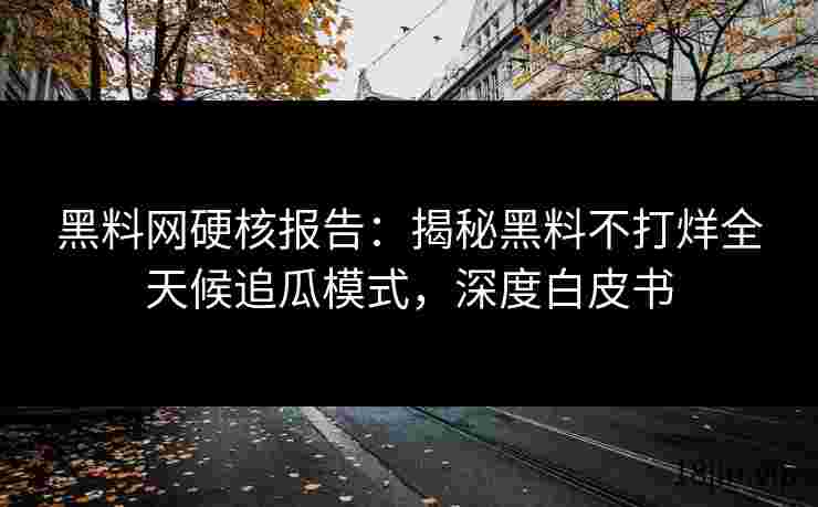 黑料网硬核报告：揭秘黑料不打烊全天候追瓜模式，深度白皮书