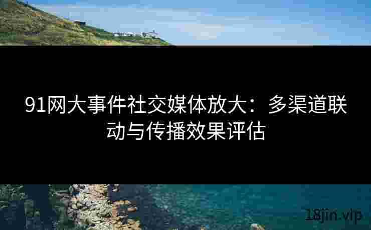 91网大事件社交媒体放大：多渠道联动与传播效果评估