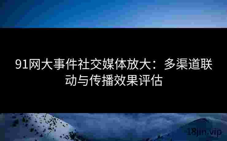 91网大事件社交媒体放大：多渠道联动与传播效果评估