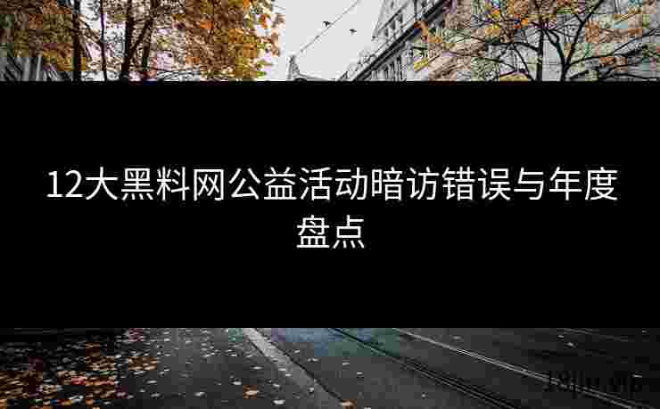 12大黑料网公益活动暗访错误与年度盘点